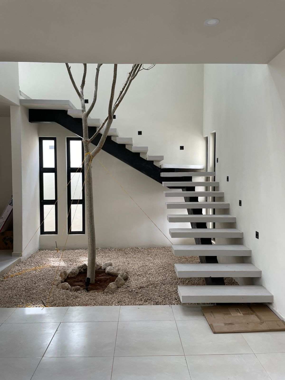 Recibidor y jardín interior