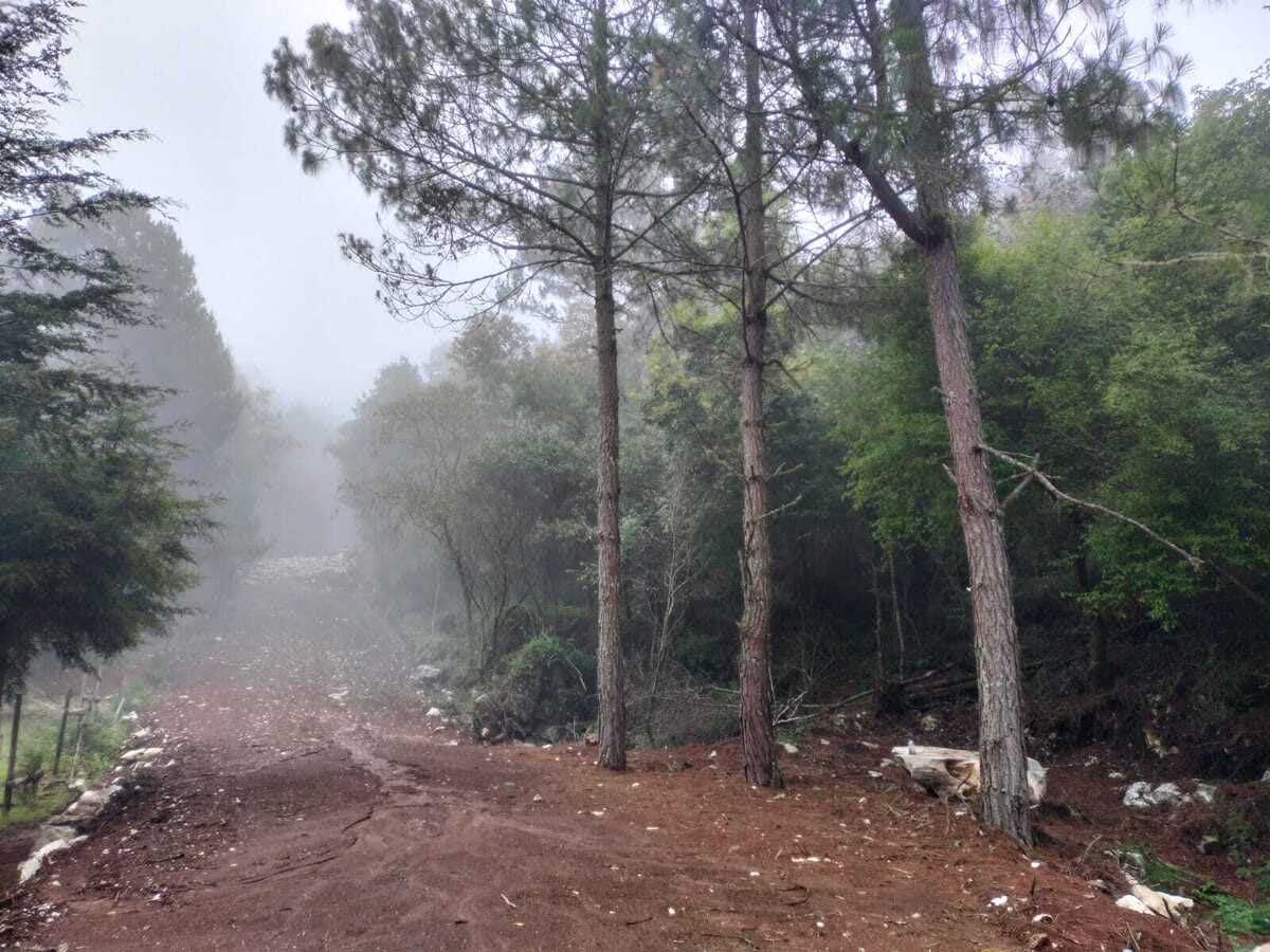 Terreno Rustico en Venta en "EL CARRIZALITO"