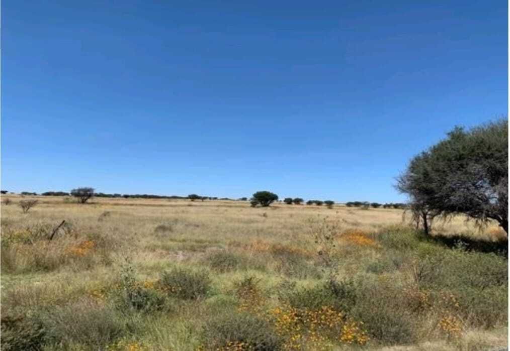 3 de 14