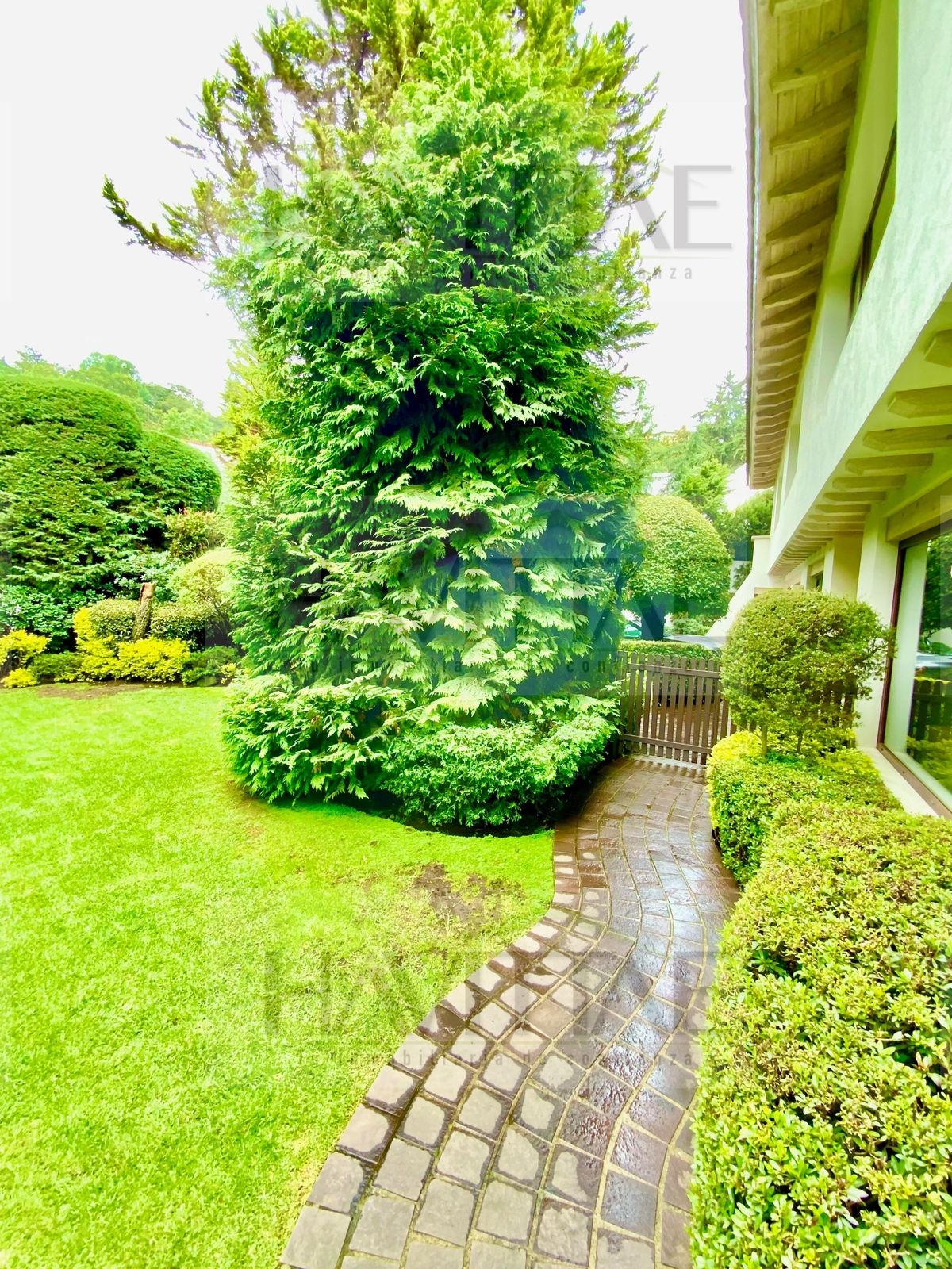 33 de 35: jardin