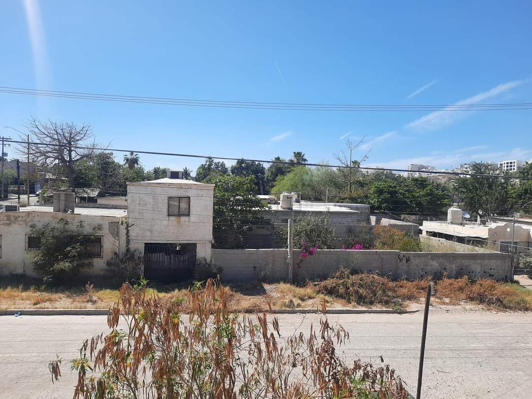 7 de 10