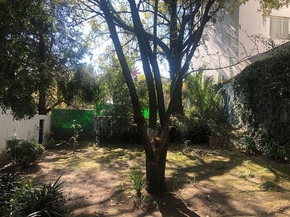 4 de 17
