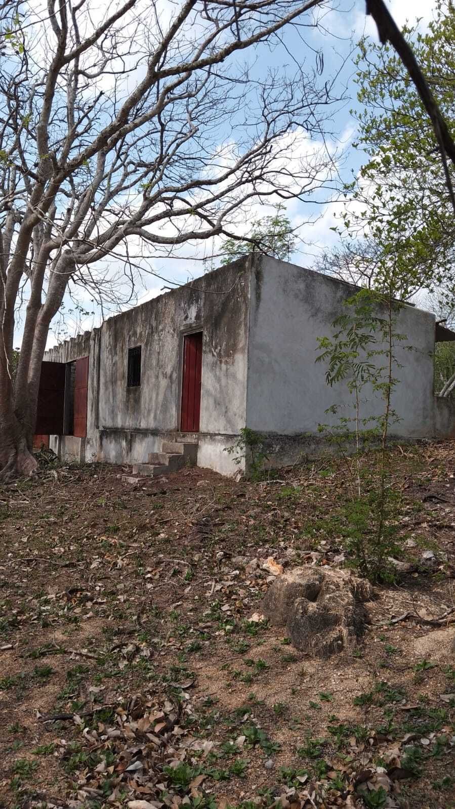 3 de 16