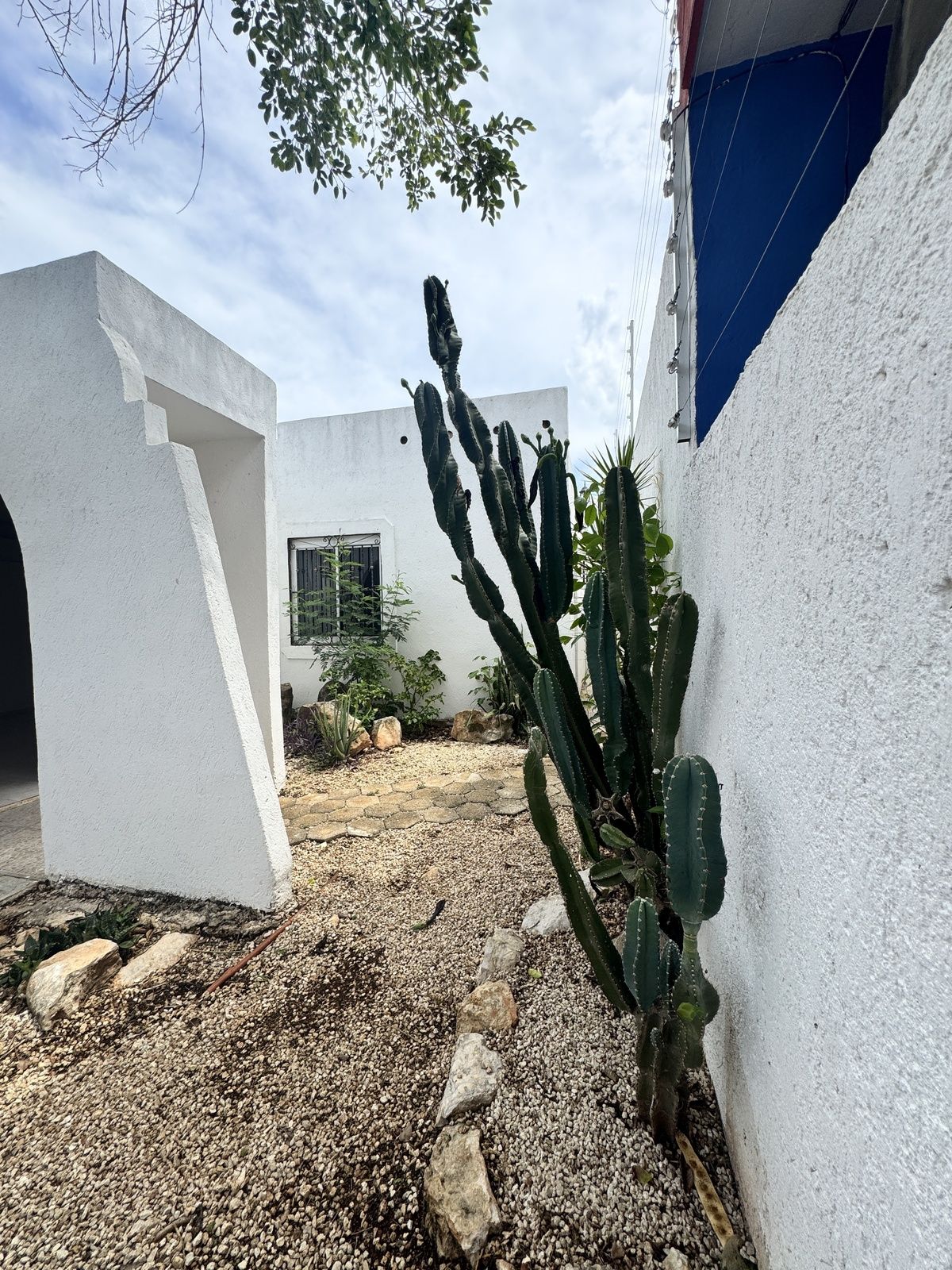 7 of 23: jardin frontal