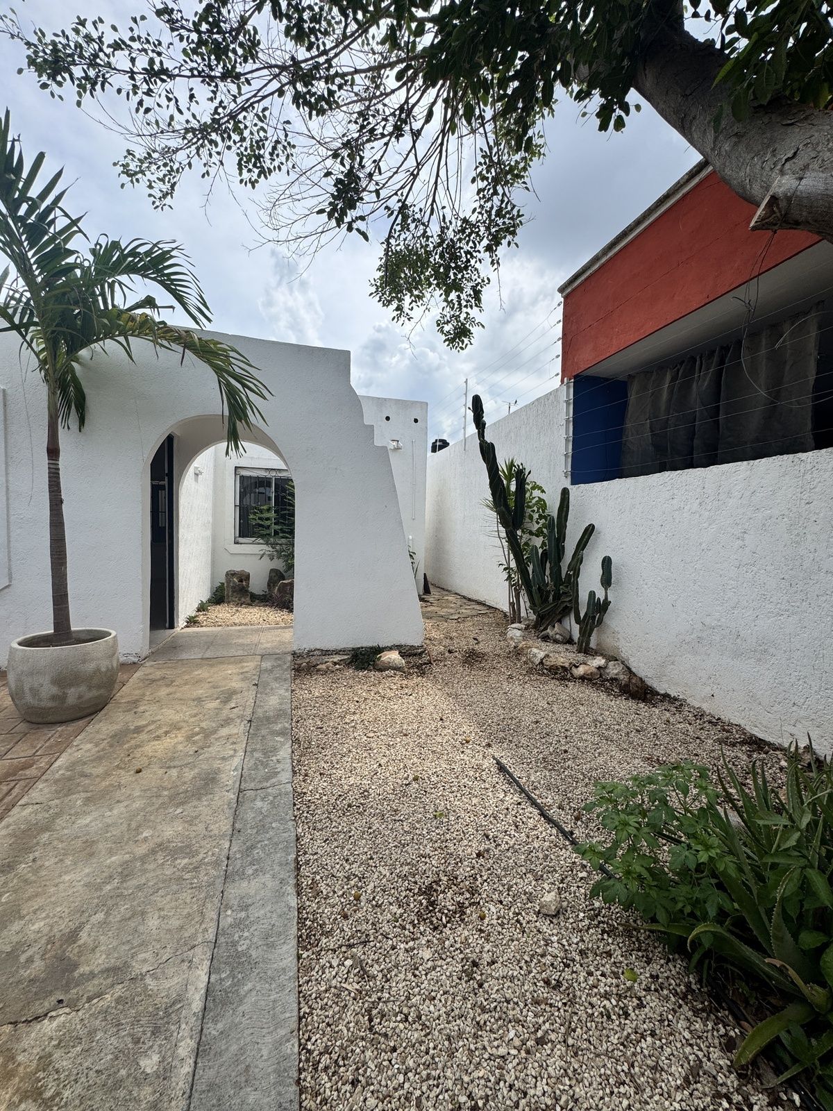 1 of 23: Jardin frontal