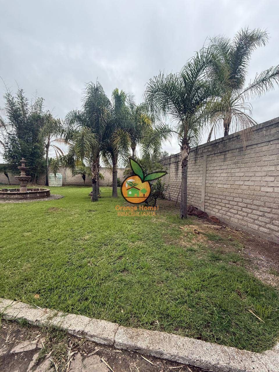 3 de 18