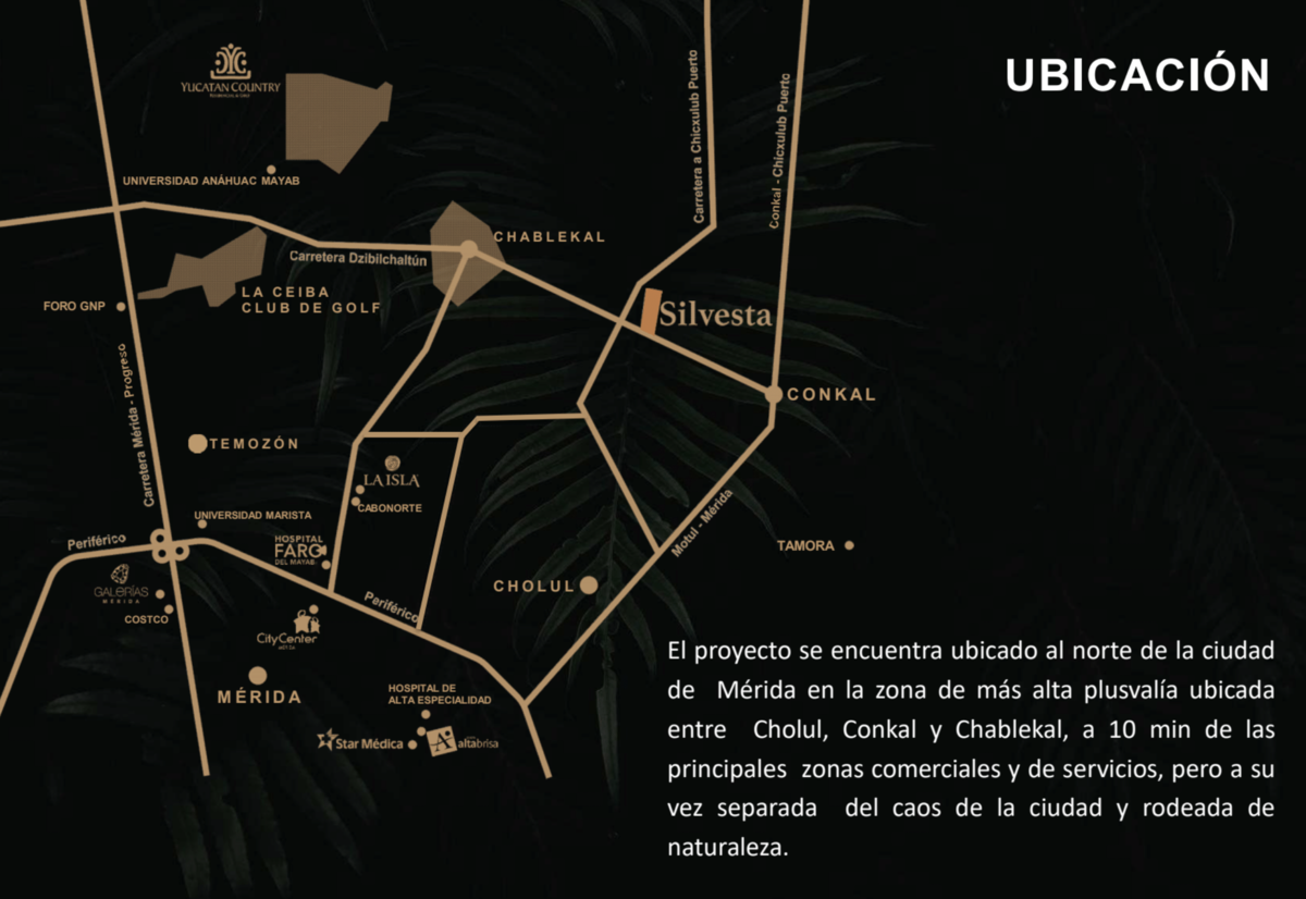 3 de 11