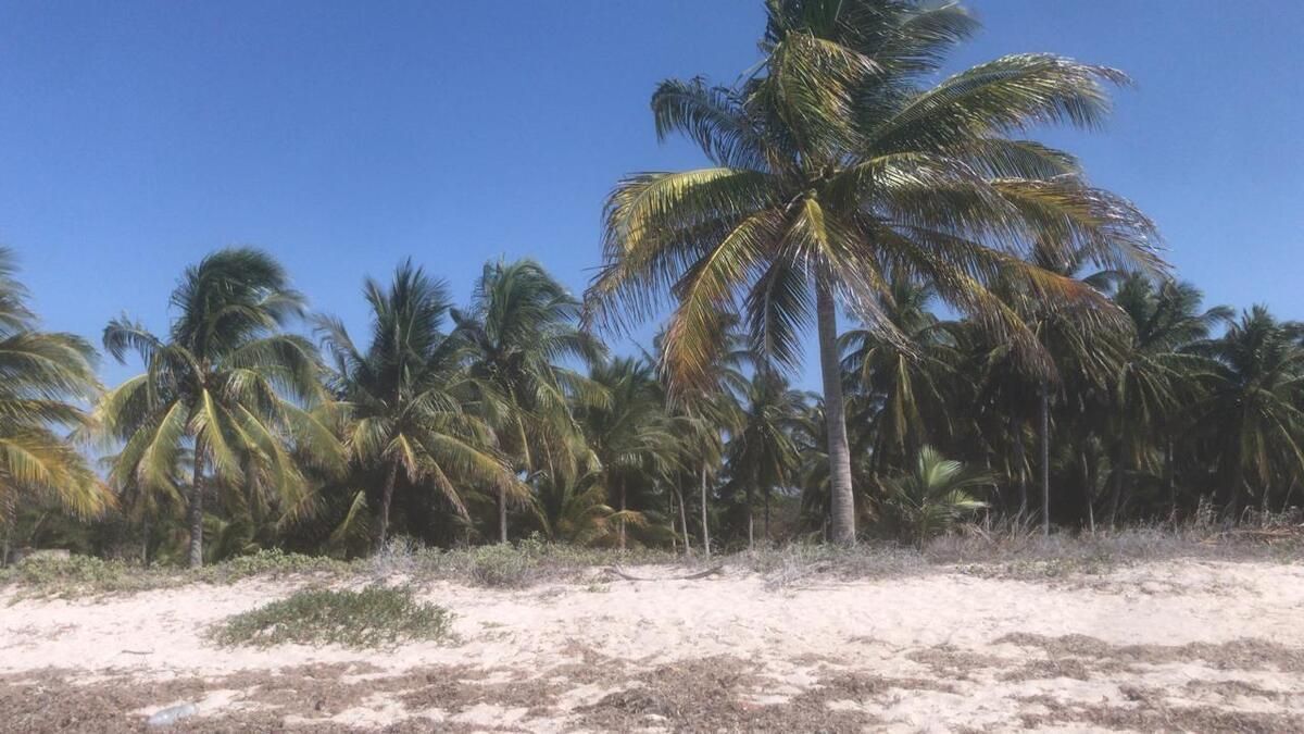 1 of 7