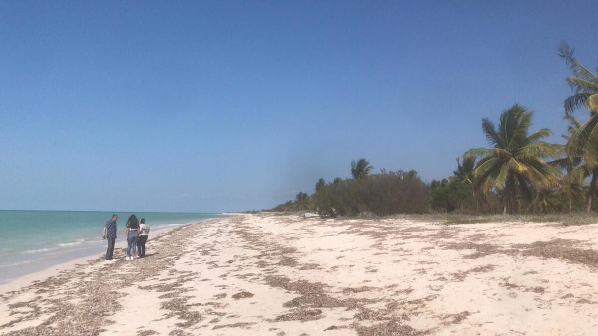 2 of 7