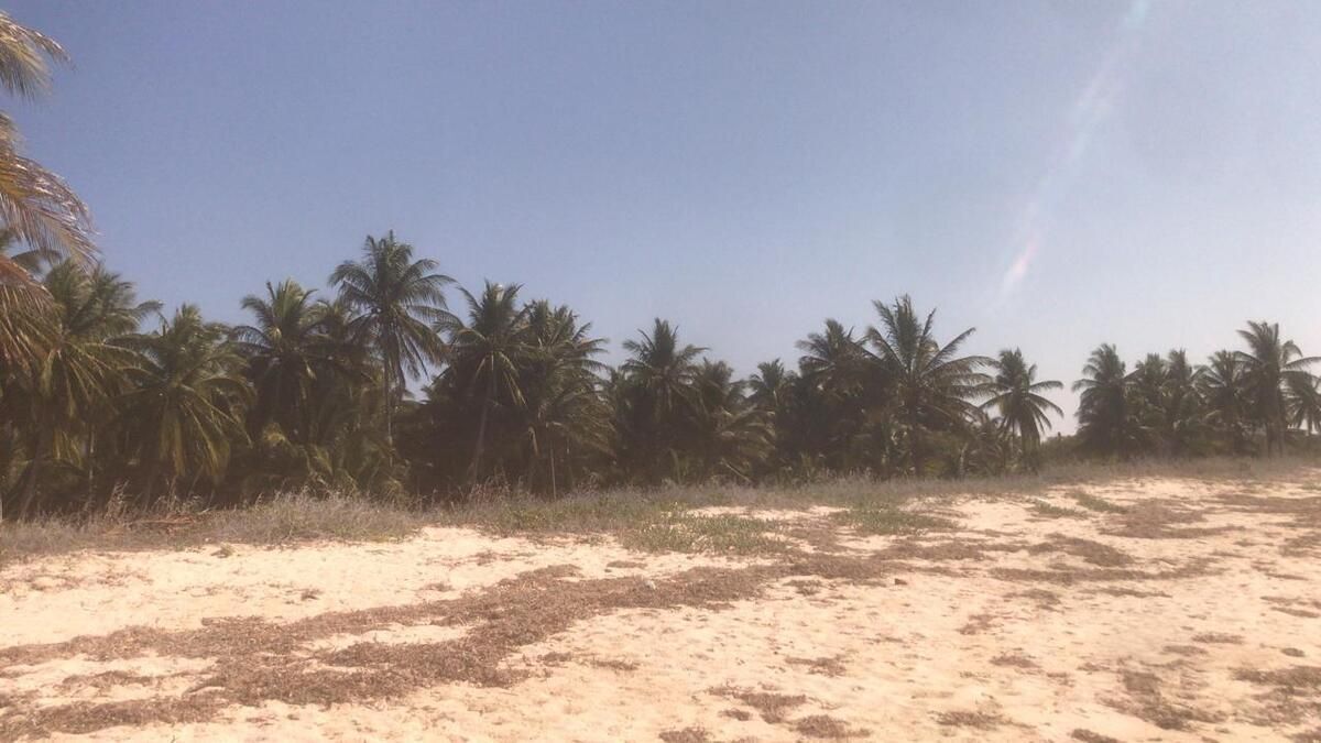 5 of 7