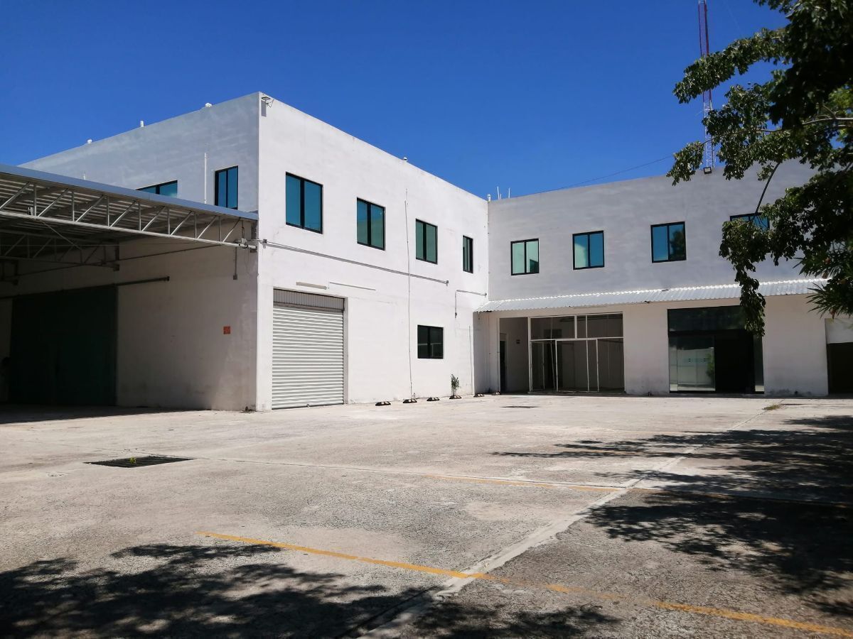 1 de 8