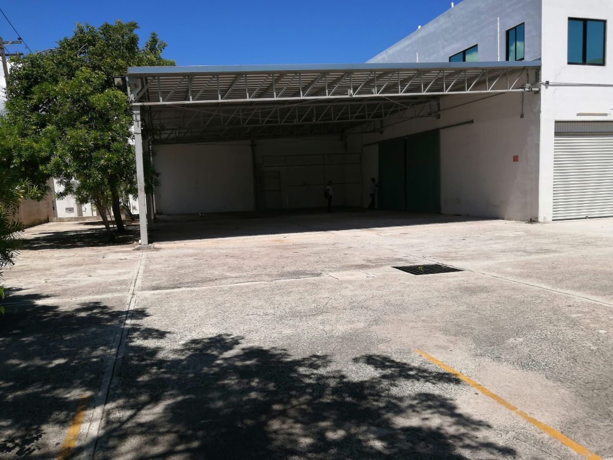 4 de 8