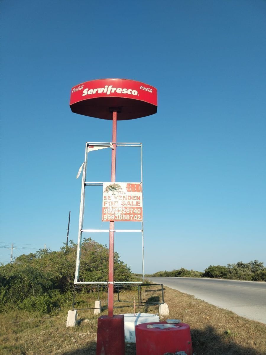 4 de 6