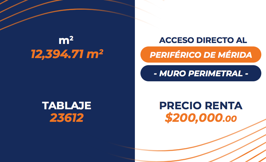 5 de 5
