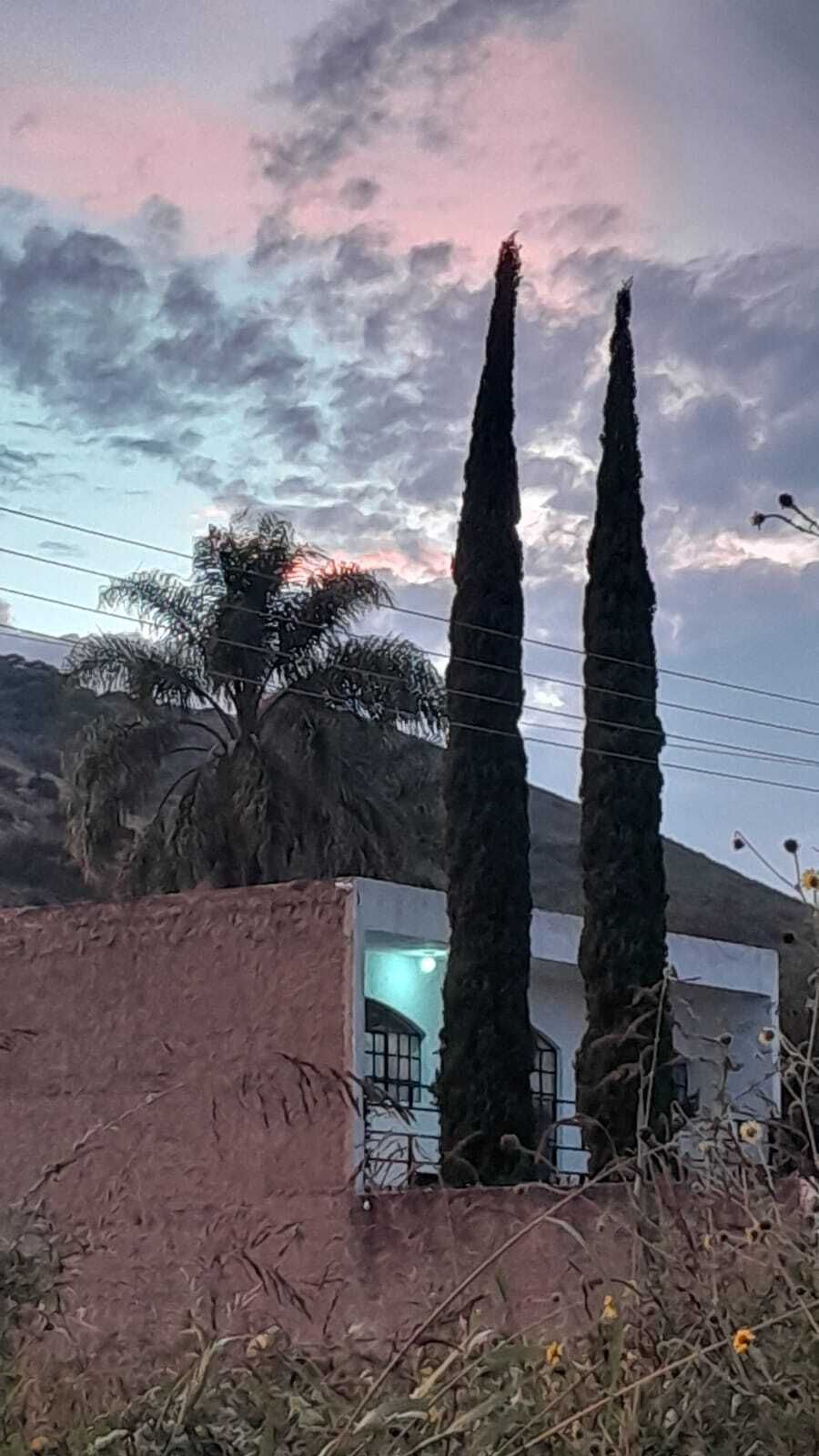 5 of 11