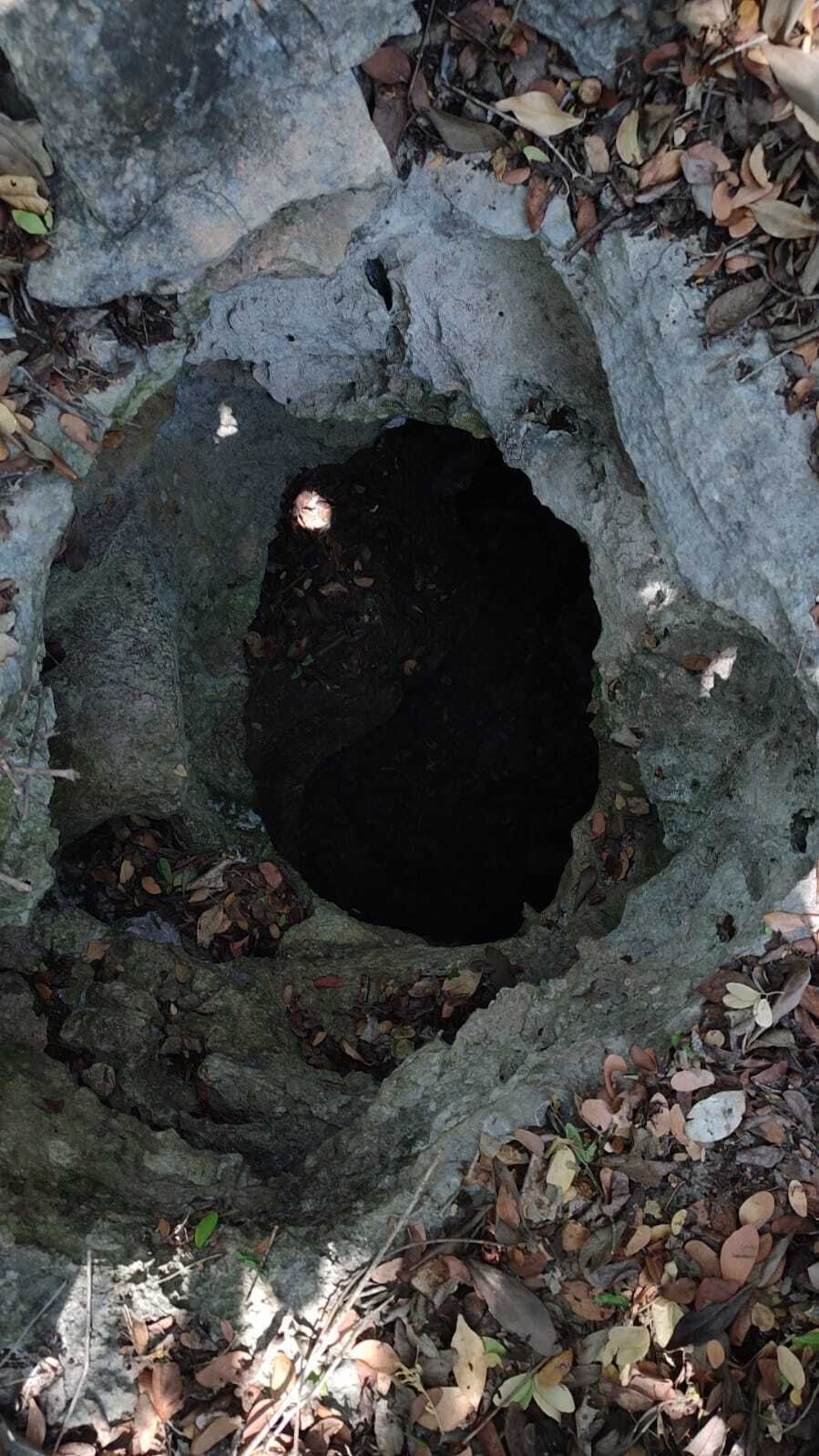 2 of 3