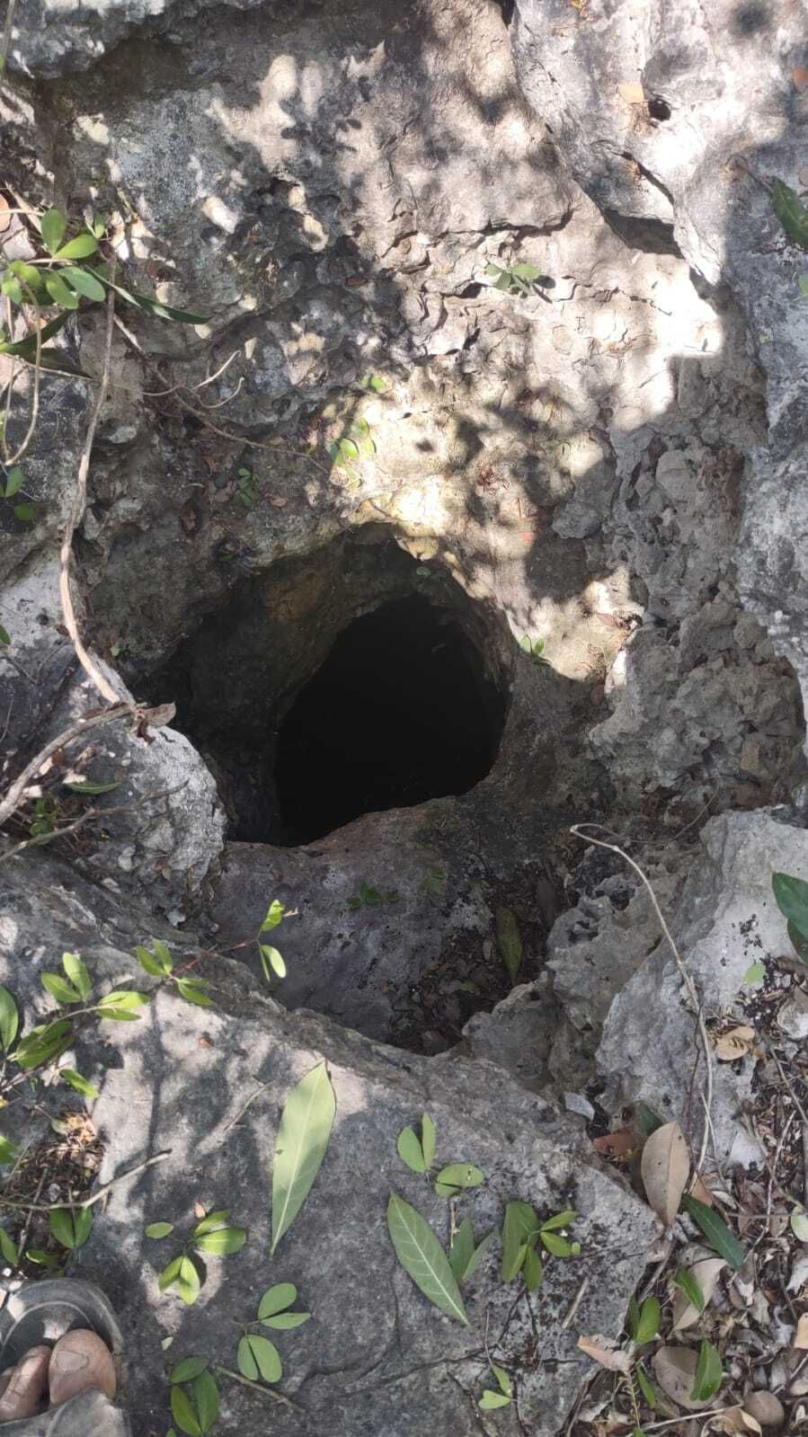 3 of 3