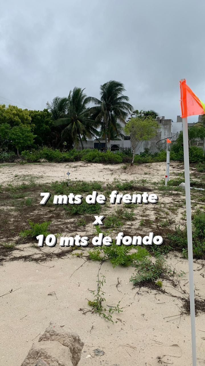 3 de 4