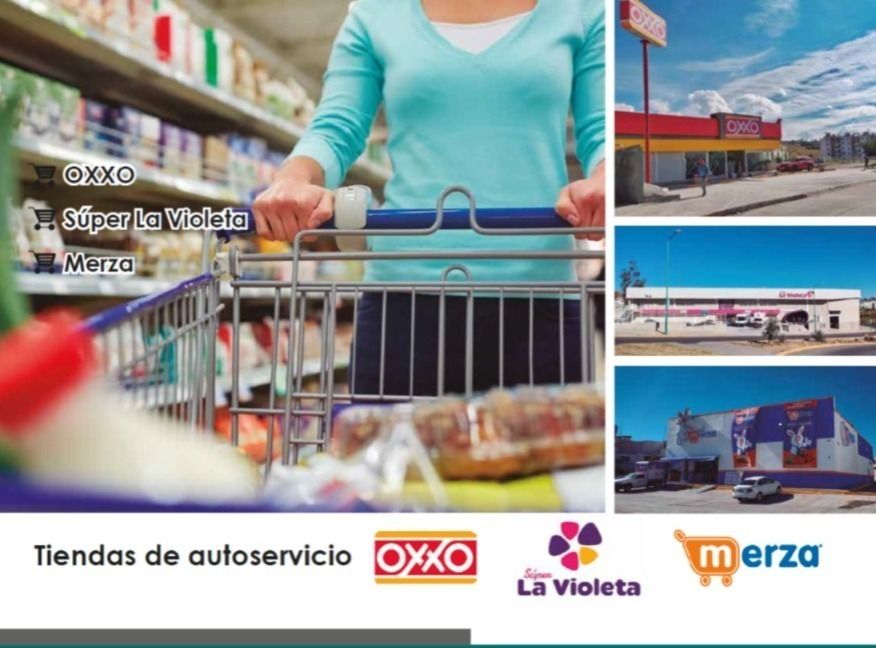 Imagen 3 de 6