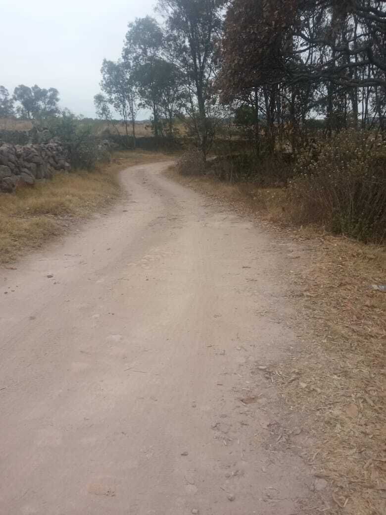 3 de 14
