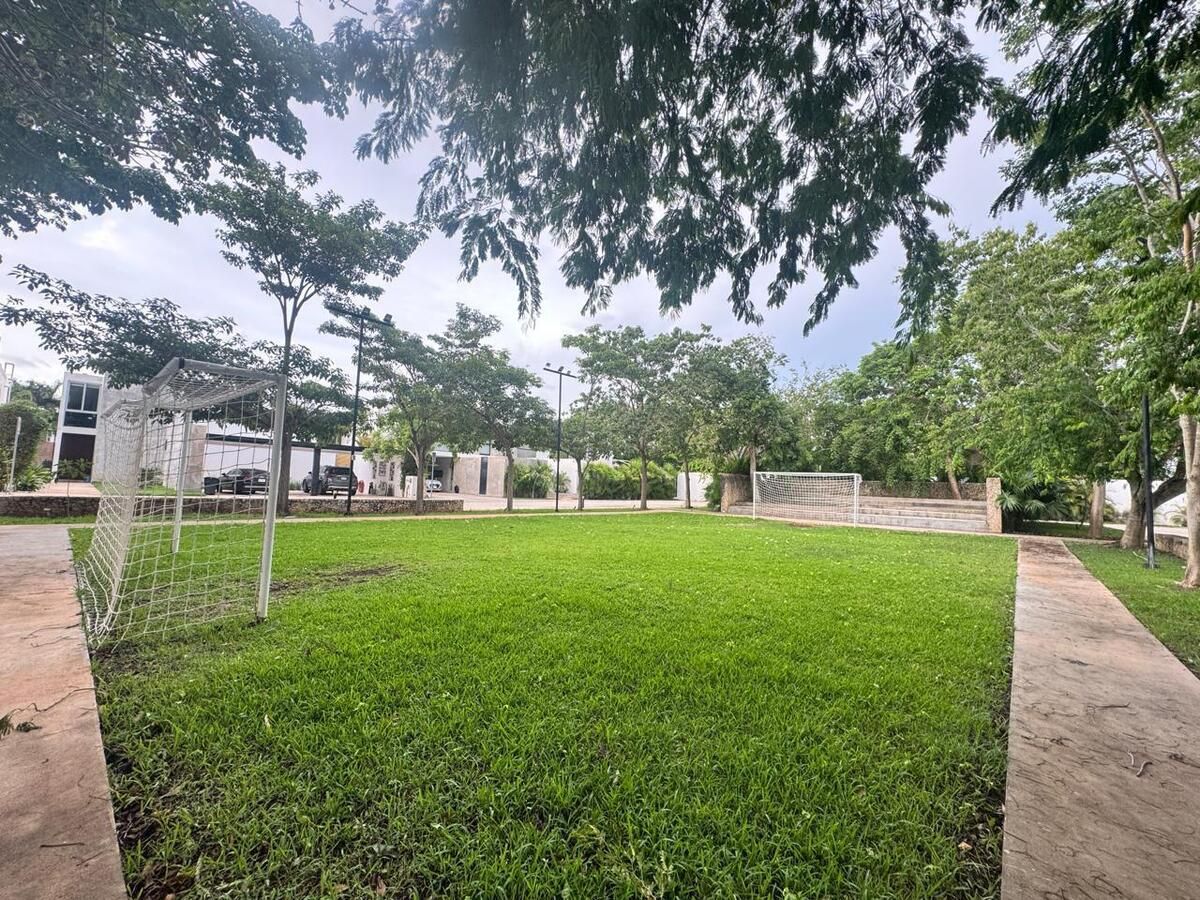 21 of 39: Canchas amenidad