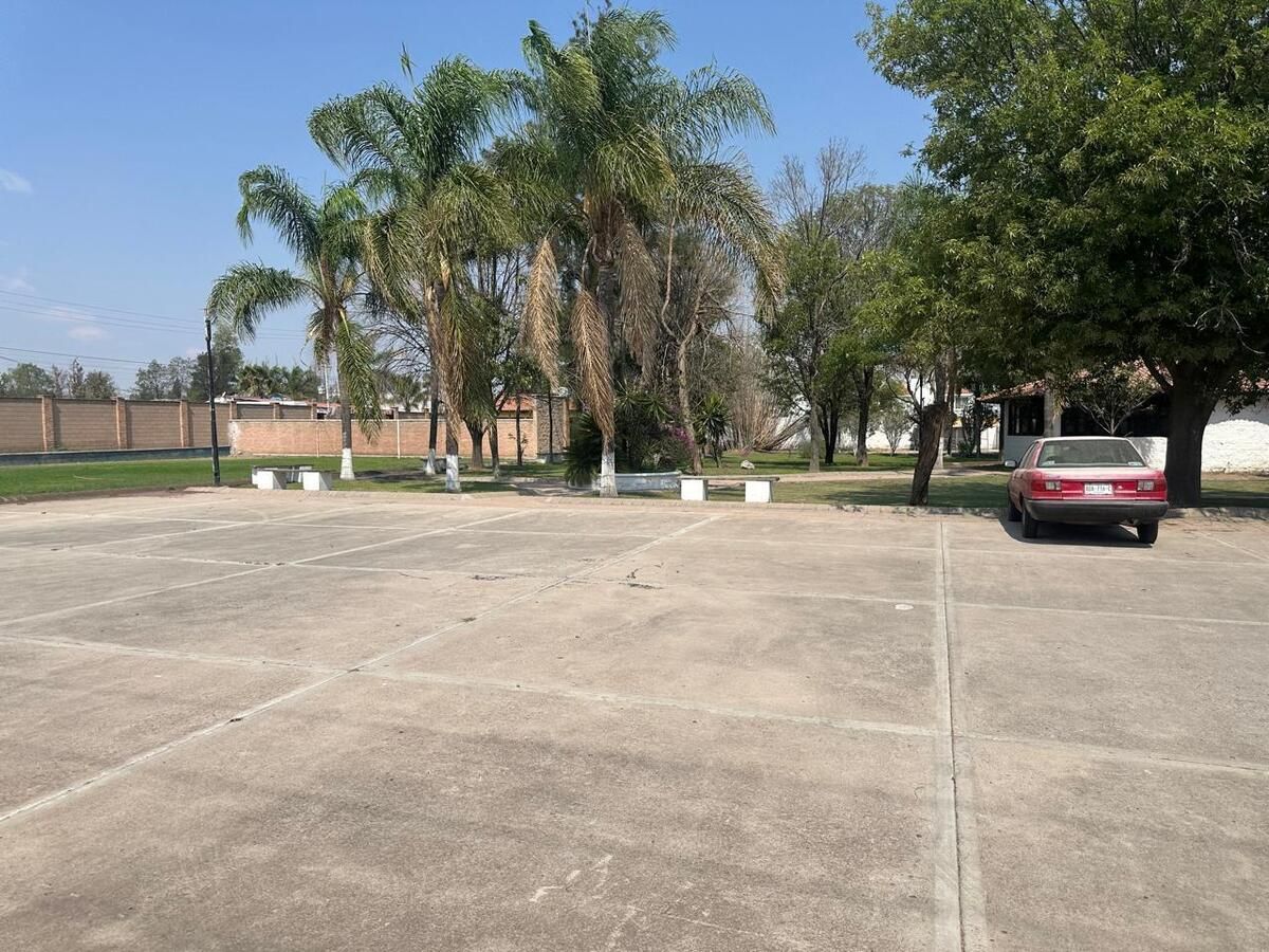 5 de 10