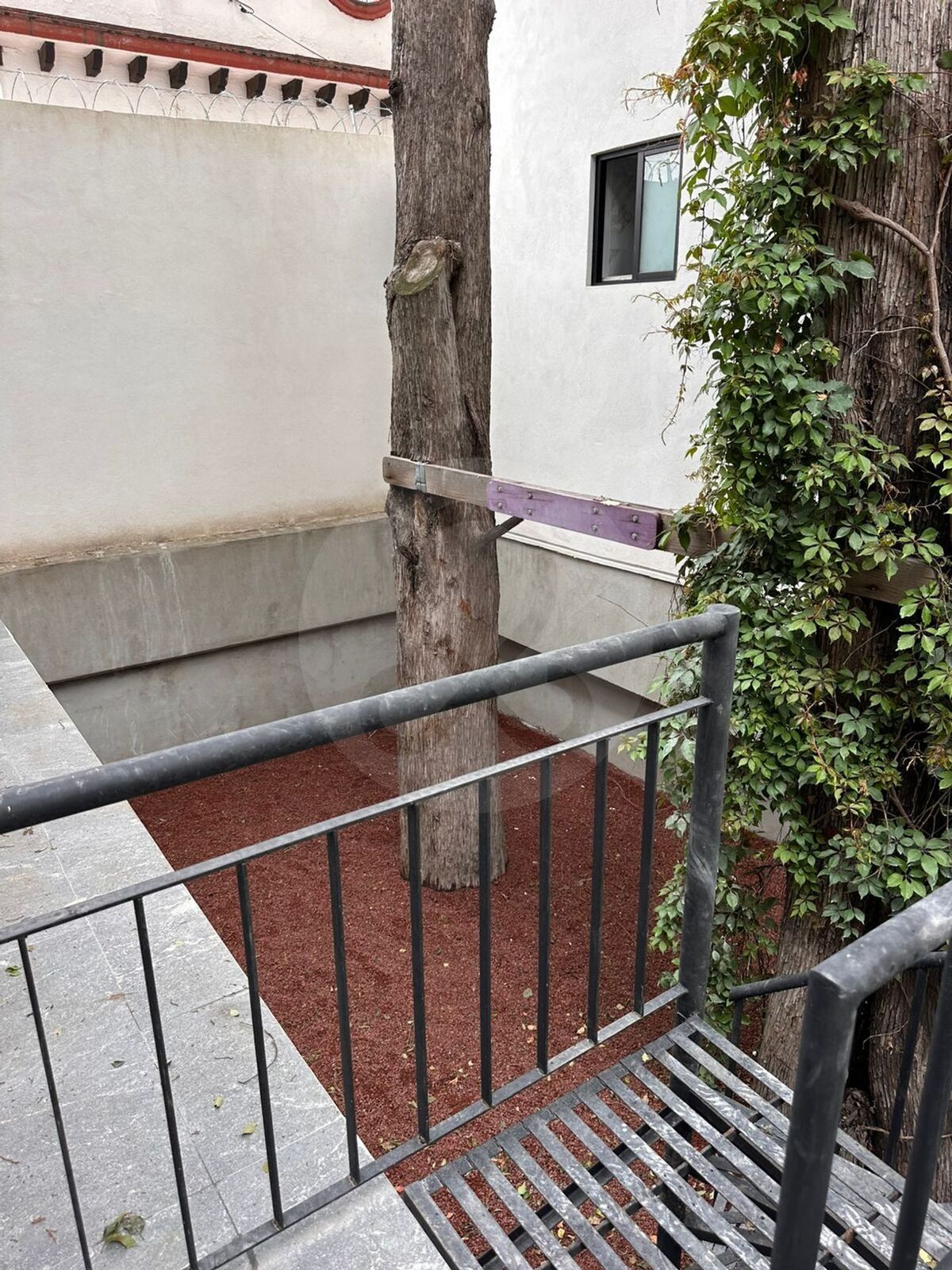 6 de 25