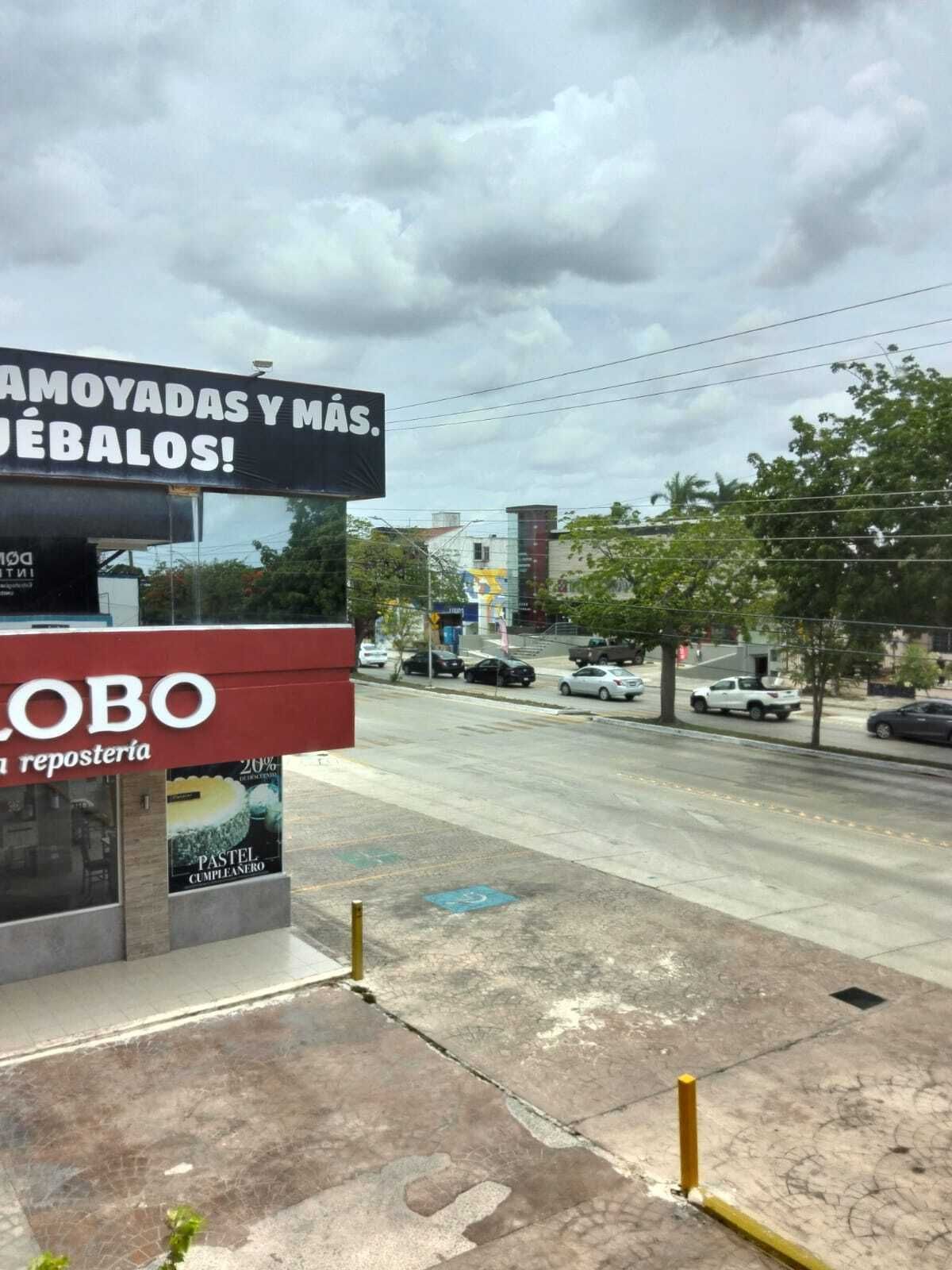 2 de 12
