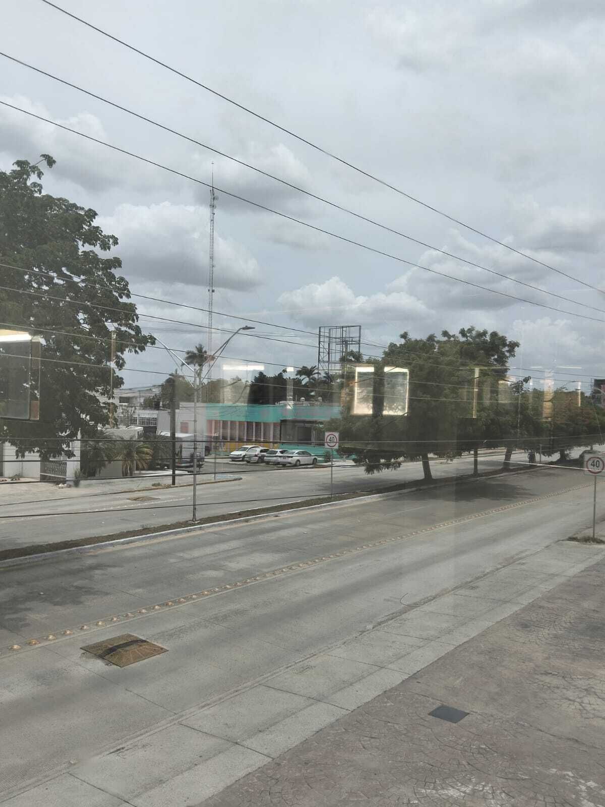 3 de 12