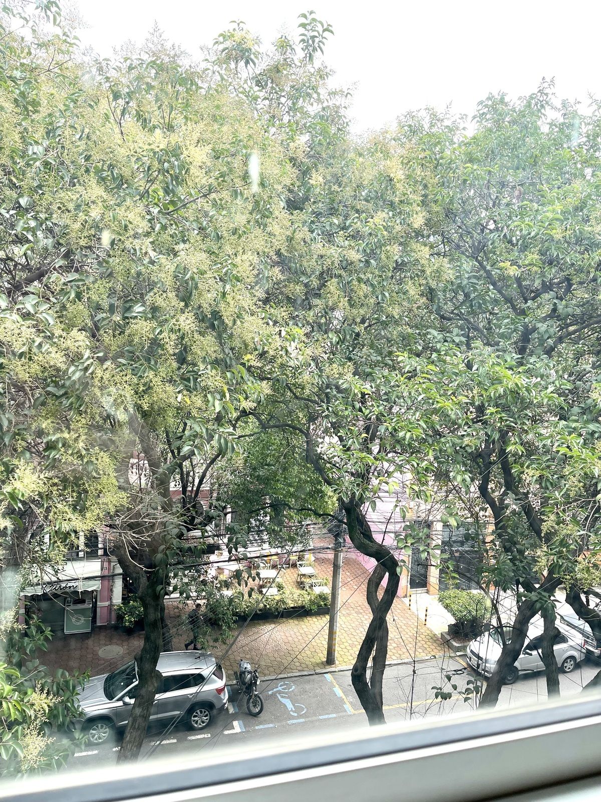 3 de 19