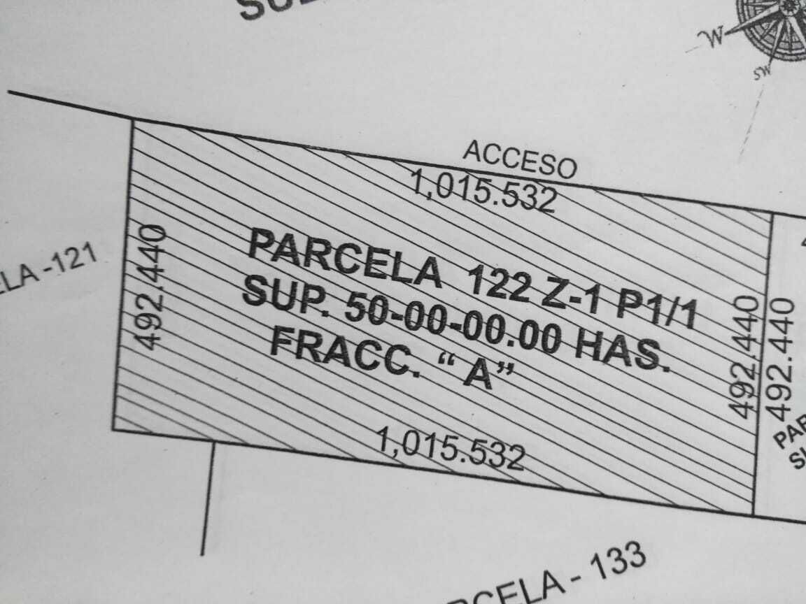 12 de 14