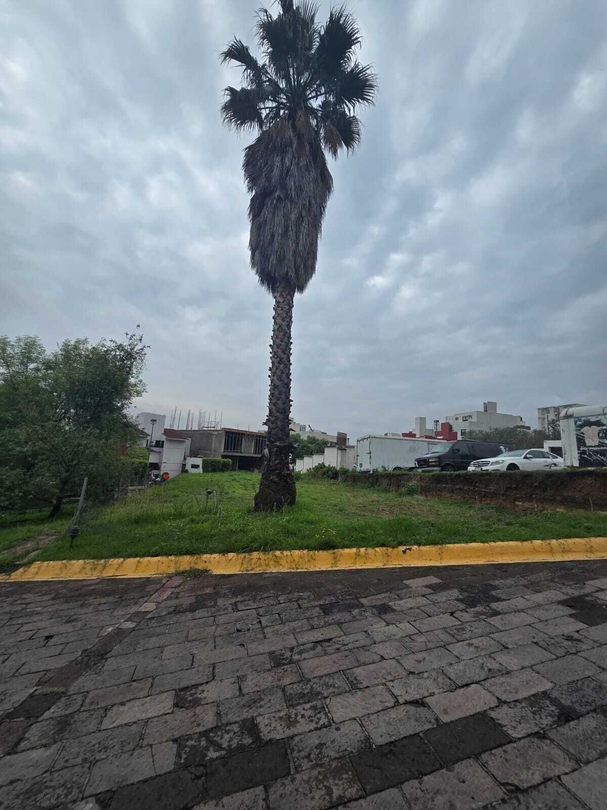 3 de 5