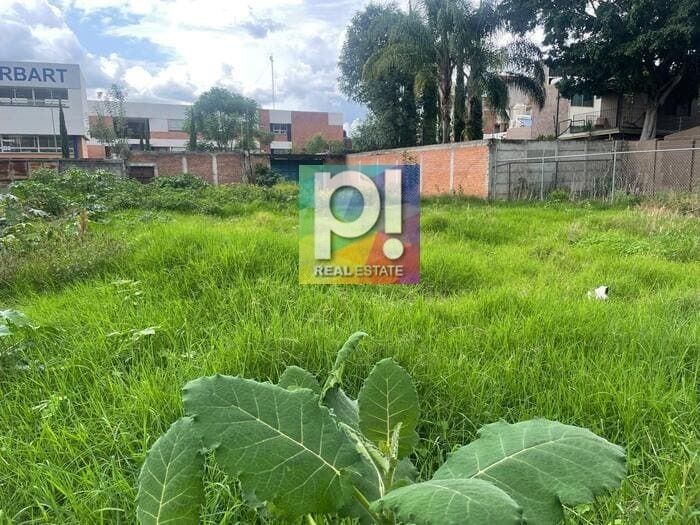 2 de 4