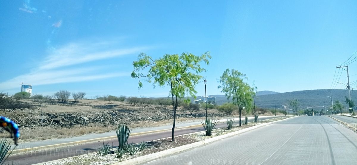 4 de 8
