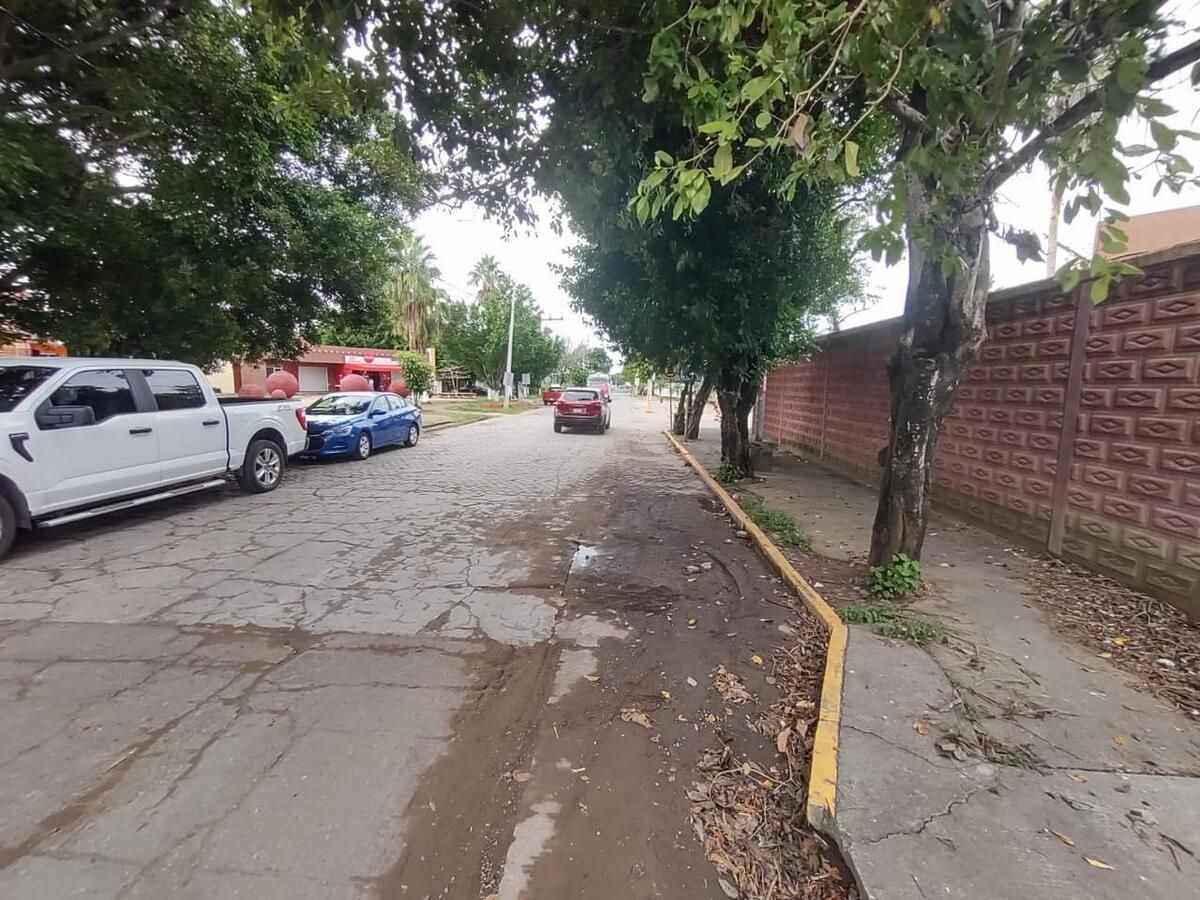 2 de 14