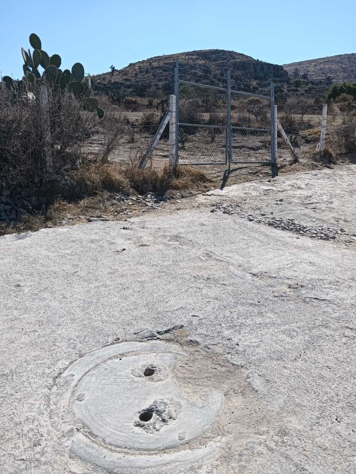 4 de 8