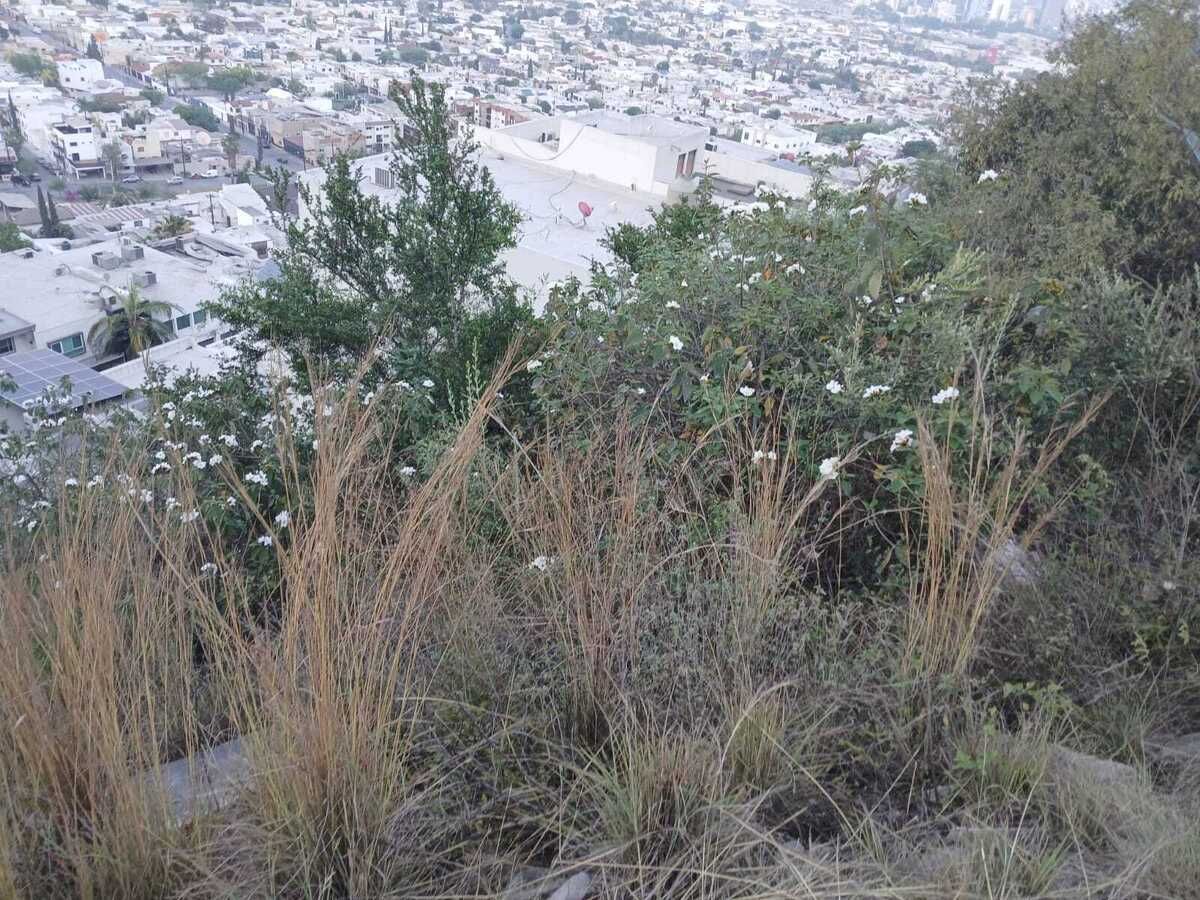 4 de 8