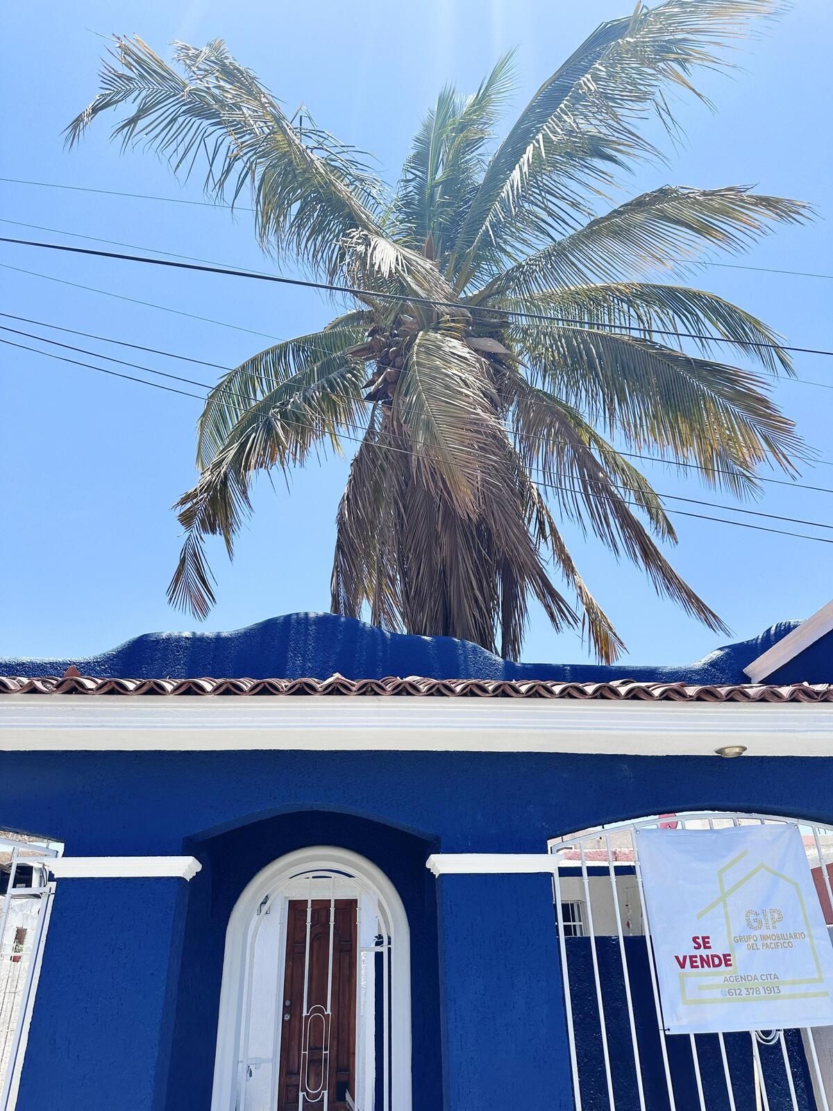 1 de 8