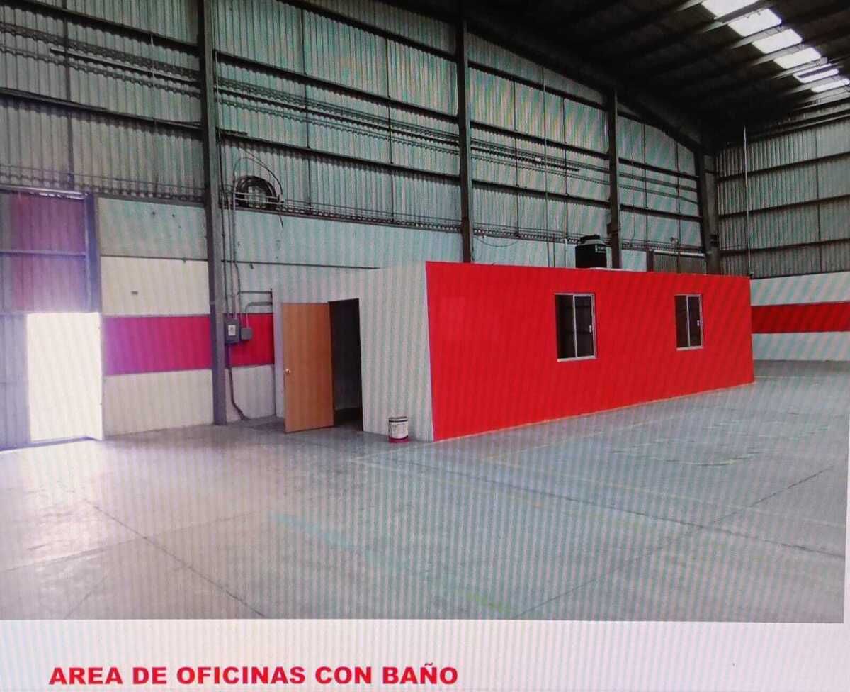 5 de 12