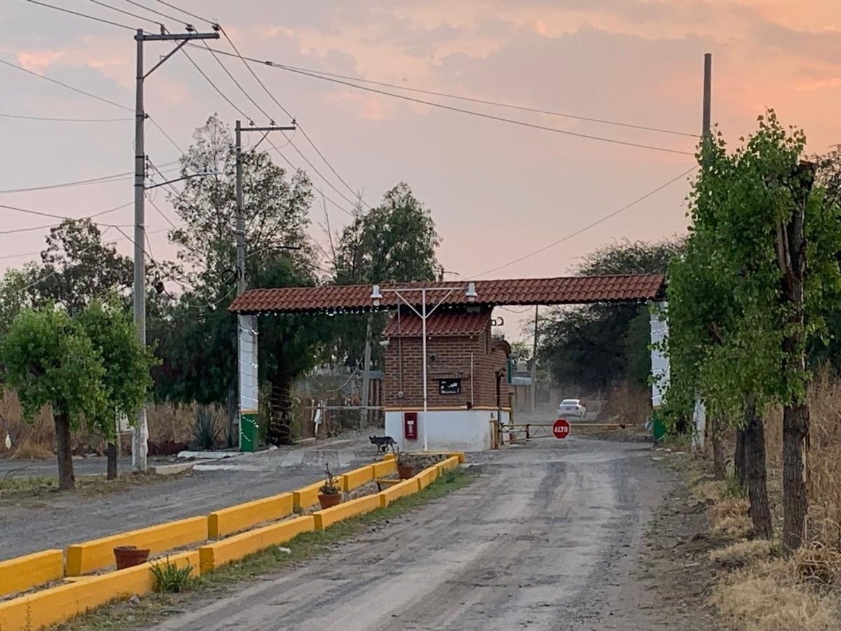11 de 24
