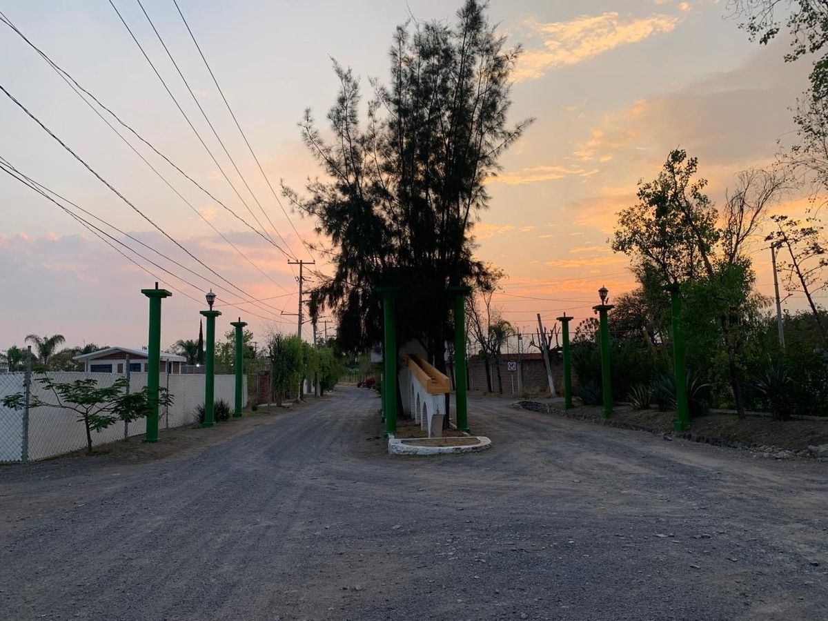 13 de 24