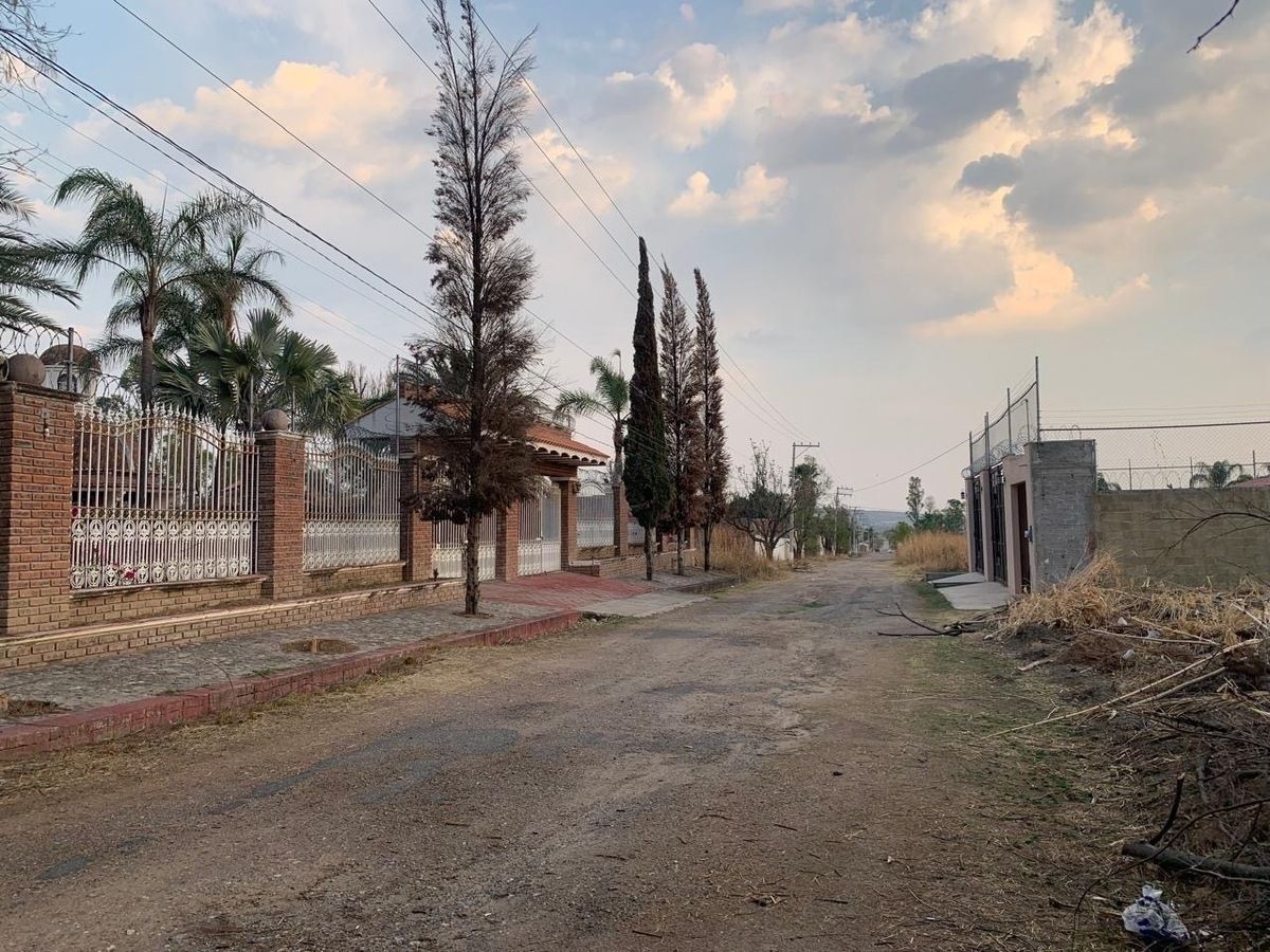 18 de 24