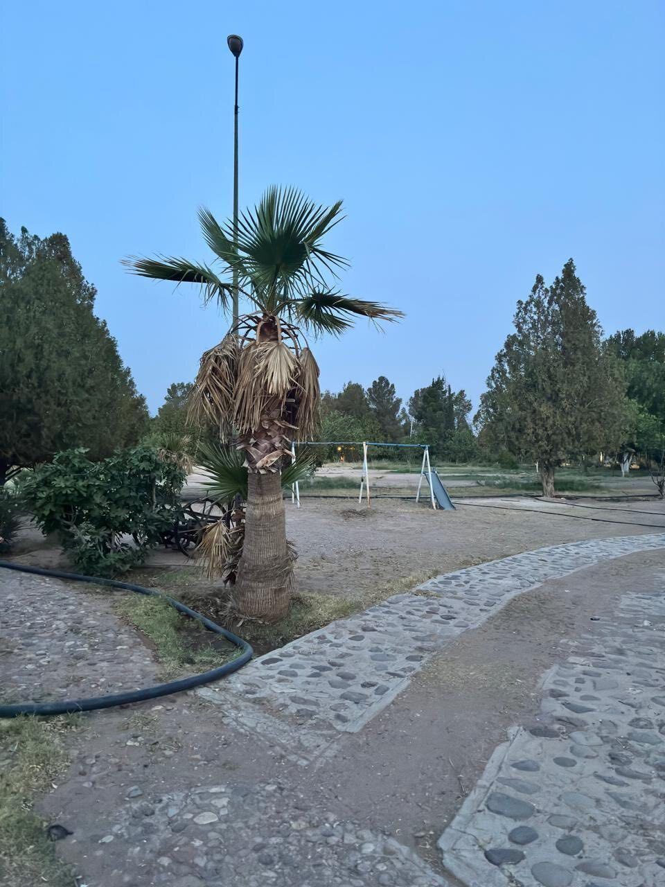5 de 17
