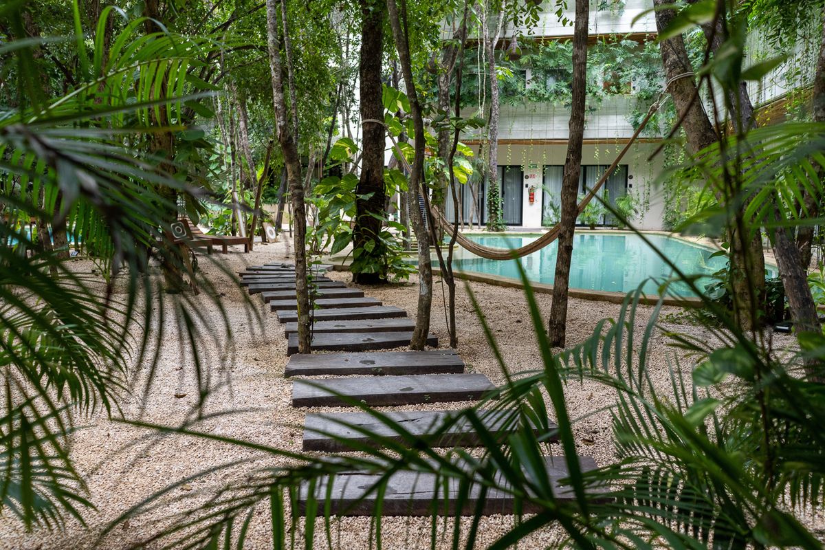 3 de 14: Jardín