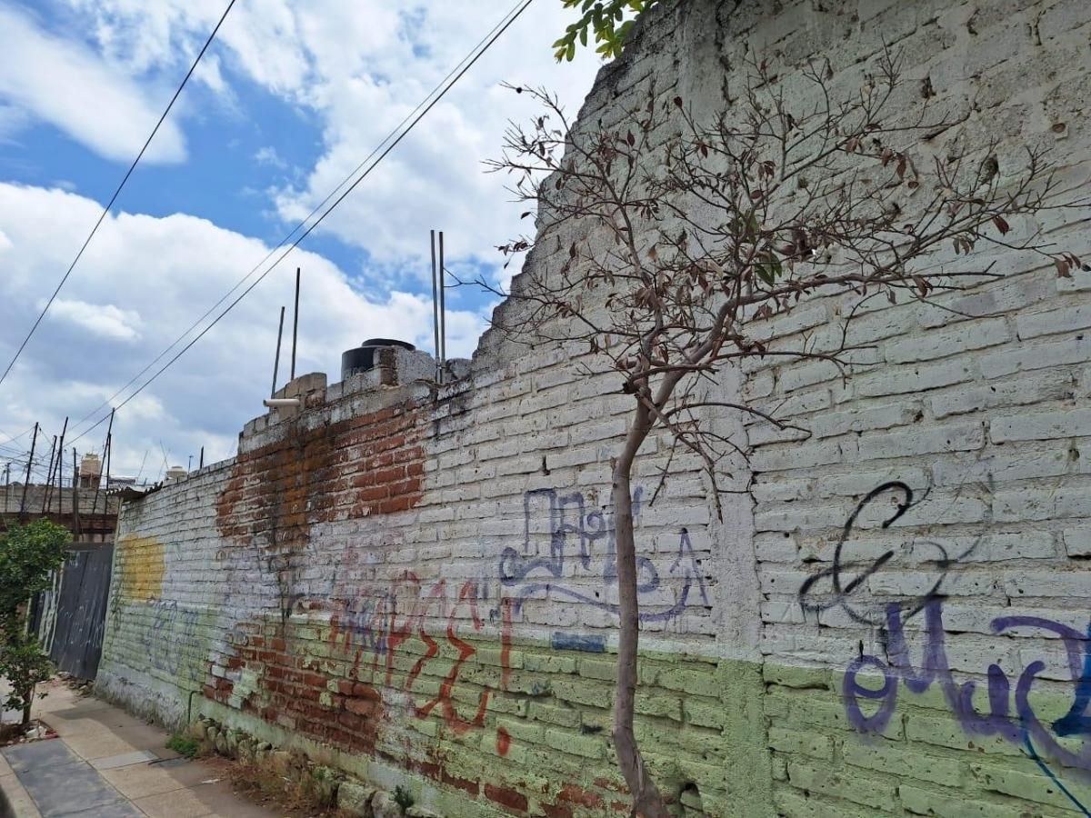 4 de 8
