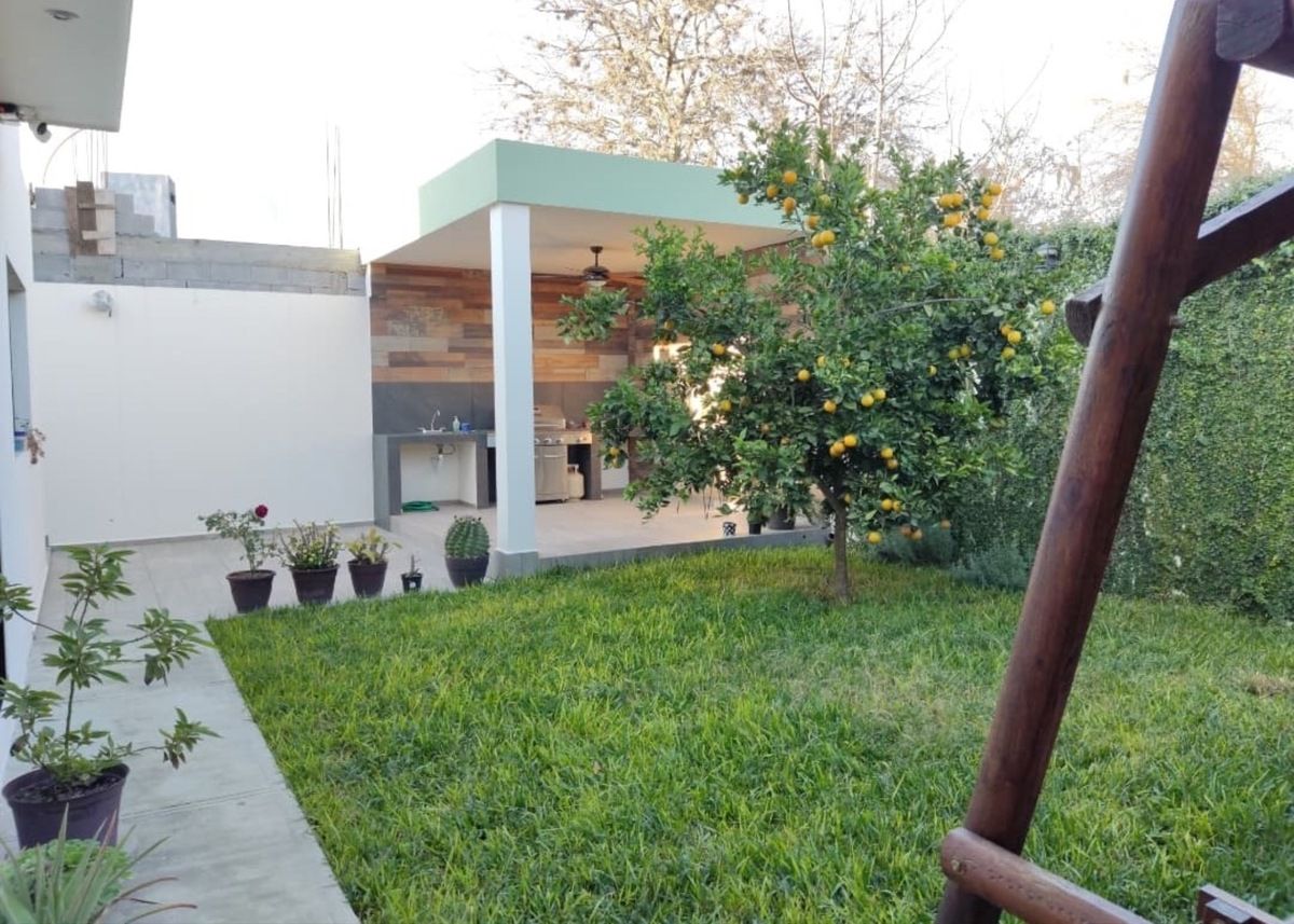11 de 11