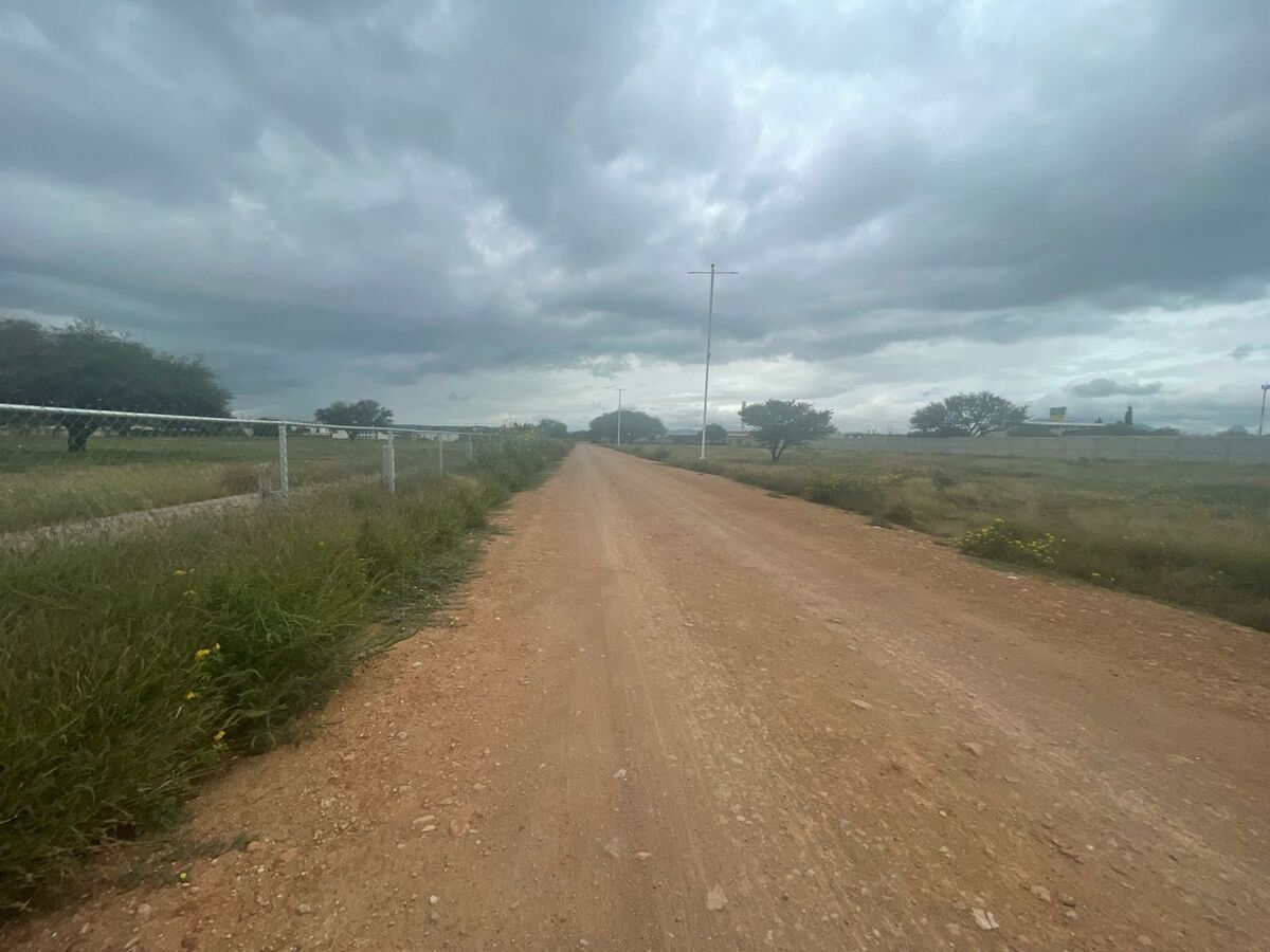 4 de 8