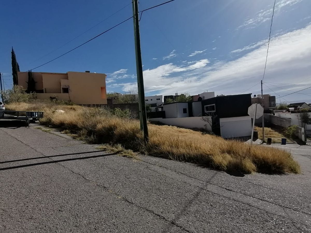 3 de 20