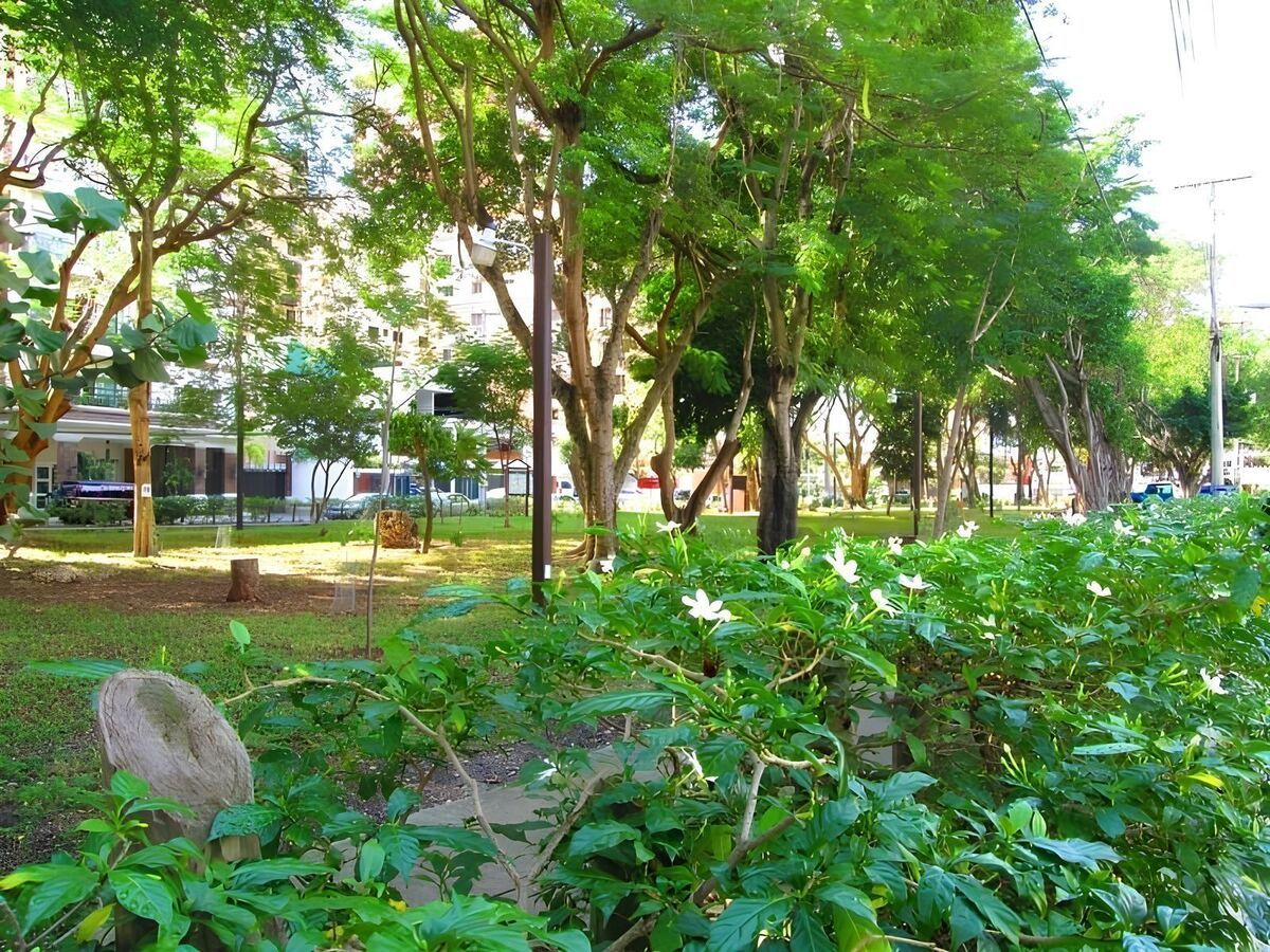 5 de 20