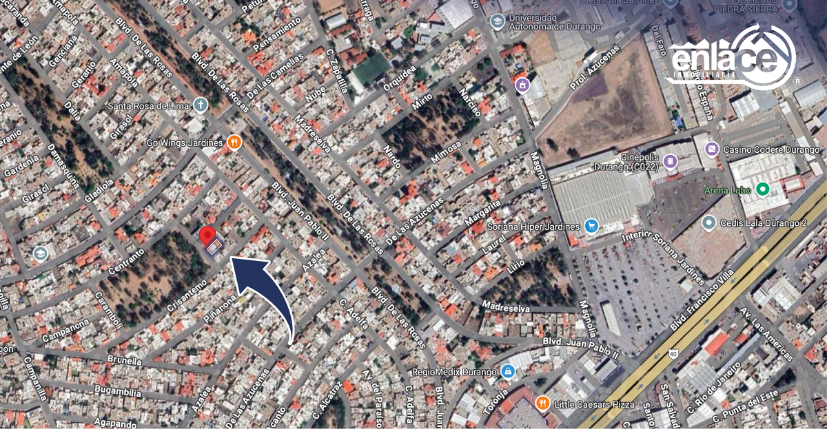 Imagen 3 de 4